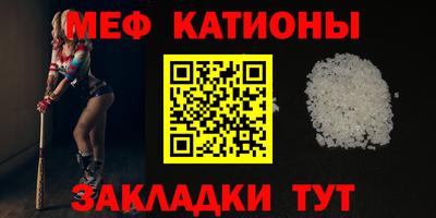 индика Заводоуковск