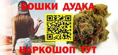 индика Заводоуковск
