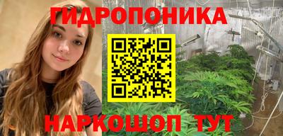 индика Заводоуковск