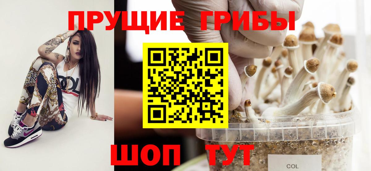Галлюциногенные грибы Psilocybine cubensis  Вход с VPN  Мурино 