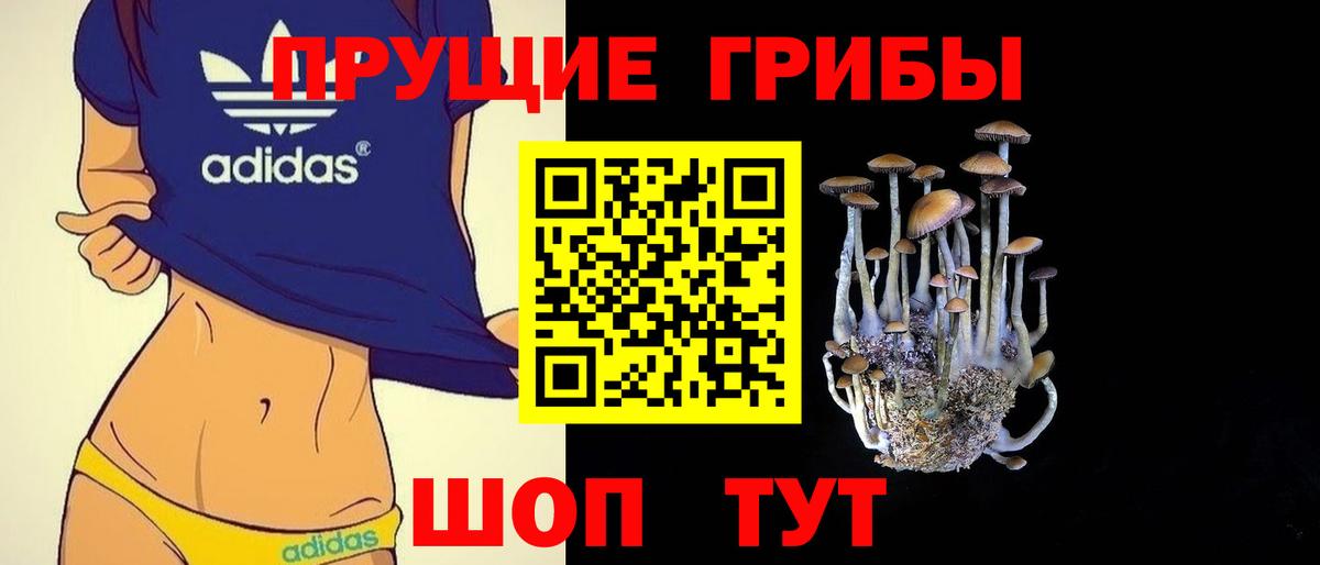 Псилоцибиновые грибы Cubensis Мурино